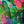 Abstract tropical artwork featuring large green palm and monstera leaves layered over vivid pink, teal, and turquoise paint textures with gold leaf accents.