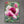 Boundless love I. - Floral Art Canvas Print