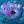 large floral on canvas in blue , green and purple color