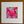 A square mixed-media art print featuring a vibrant pink and red butterfly design over a background of pink paint splatters, musical notes, and vintage postcard textures. The print is mounted on a wide white mat board, which is placed on a wooden surface.