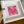 A hand holds a white square shadow box frame containing a colorful abstract art print with a prominent pink butterfly design, set against a blurred indoor background.