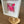 A white square shadow box frame displaying a vibrant pink and red butterfly art print, styled on a wooden tabletop next to a small wooden heart-shaped dish.