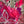Abstract mixed-media artwork featuring layered pink and magenta textures, musical sheet music, floral elements, and a large white butterfly silhouette in the lower left.