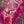 Mixed-media abstract botanical artwork featuring layered pink and magenta leaf shapes, white lace-like leaf outlines, dark red calligraphic marks, and vintage sheet music text on a textured canvas background.
