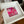 A hand holds a white square shadowbox frame containing a vibrant pink and magenta abstract floral artwork with metallic gold leaf details, set against a blurred home interior background.