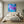 Falling in Love - Print on canvas